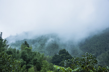 尼桑骐达评价